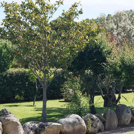 Les Jardins De Santa Giulia - Charmante chambre d'hôte Porto-Vecchio (Corsica) Exterior foto